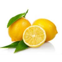 Limon Bonesi / 100 Adet / Bitki Çayı Bonesi
