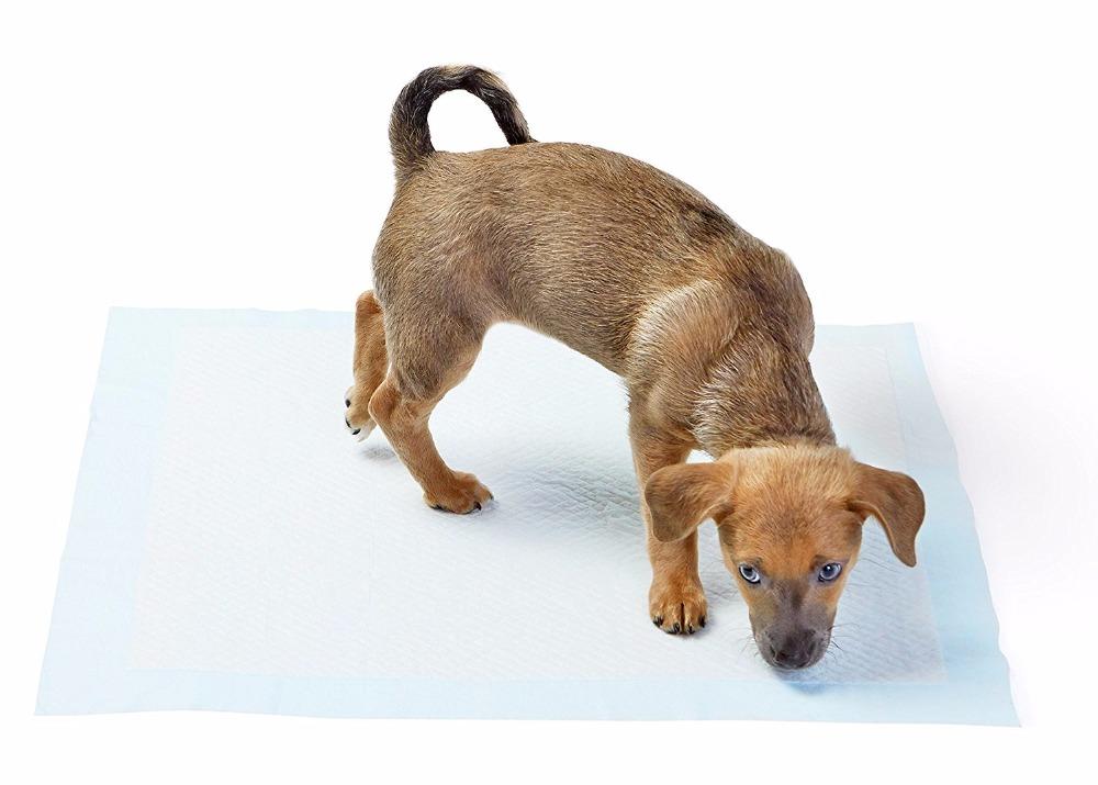 Yıkanabilir Köpek Çiş Pedi 100 X 70 Cm 5li Paket Üyelere Özel + KDV