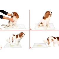 5 li Köpek Tuvalet Eğitim Pedi - Kullan At Çiş Pedi - 90 X 60 Cm